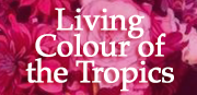 Living Colour of the Tropics